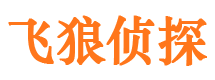 宝塔市婚外情调查